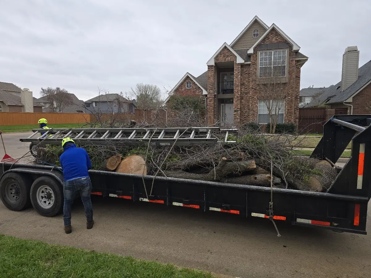 Expert Tree Removal with proper safety equipment in Sapulpa